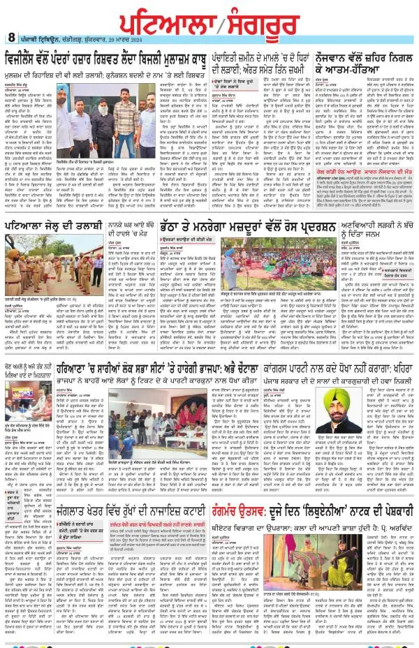 Punjabi Tribune (Patiala-Sangrur)